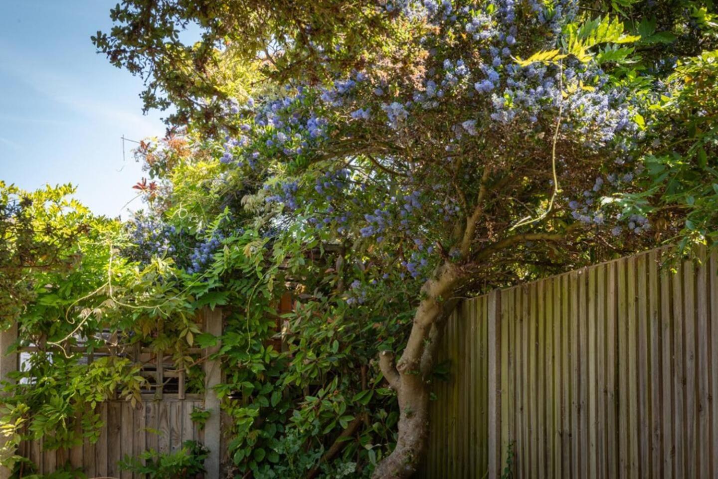 Eden Cottage Whitstable Luaran gambar